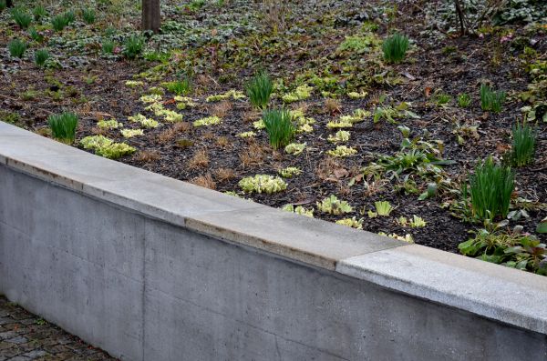 Concrete Wall Construction in Red Oak