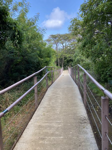 Footpath Construction in Red Oak